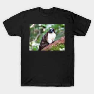 White Chested Monkey Perching in Tree T-Shirt